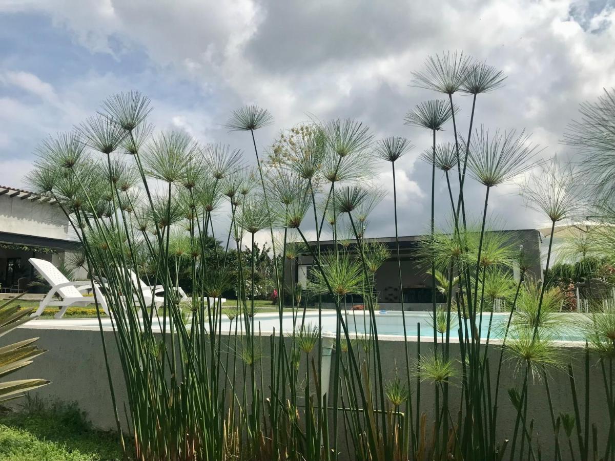 Torcaza Casa De Campo Quimbaya Ngoại thất bức ảnh